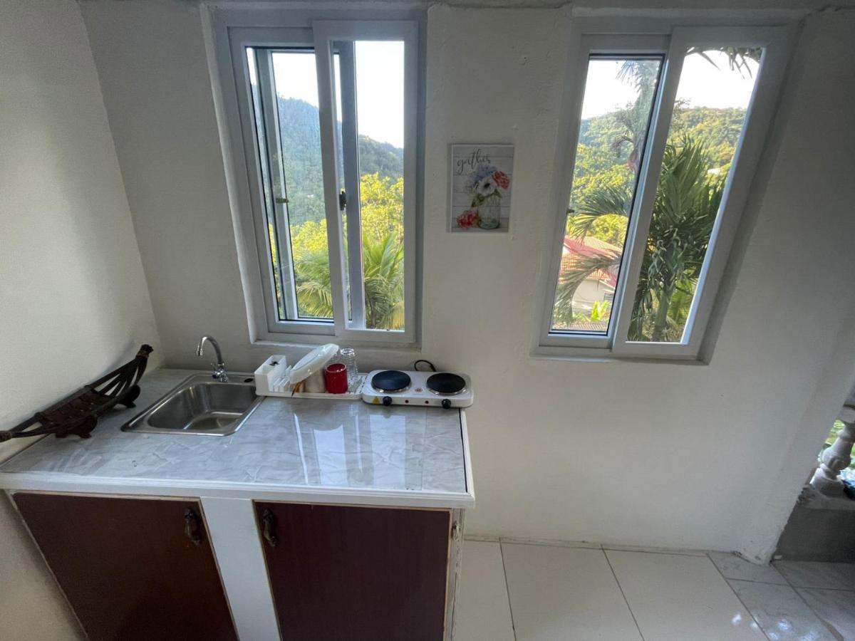 Zaboca Apartment Roseau Bagian luar foto